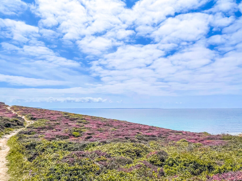 Paysage de landes dans le Finistère