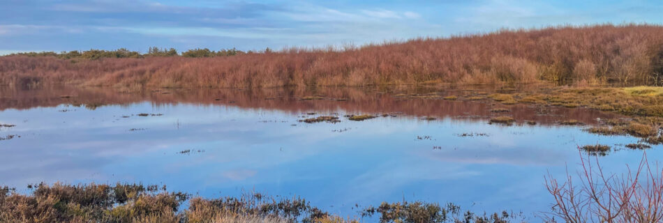 Texel Herbststimmung