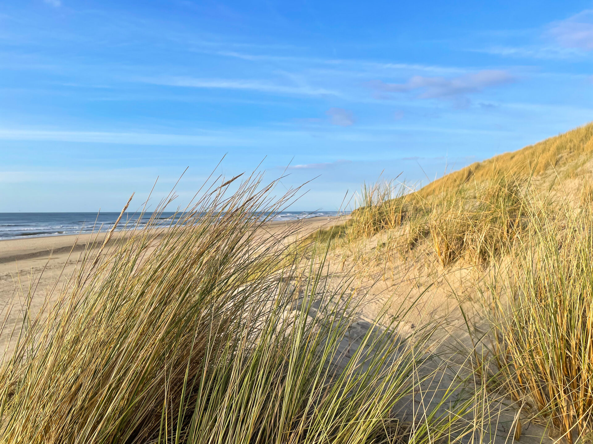 Mer de Texel près de Westerslag