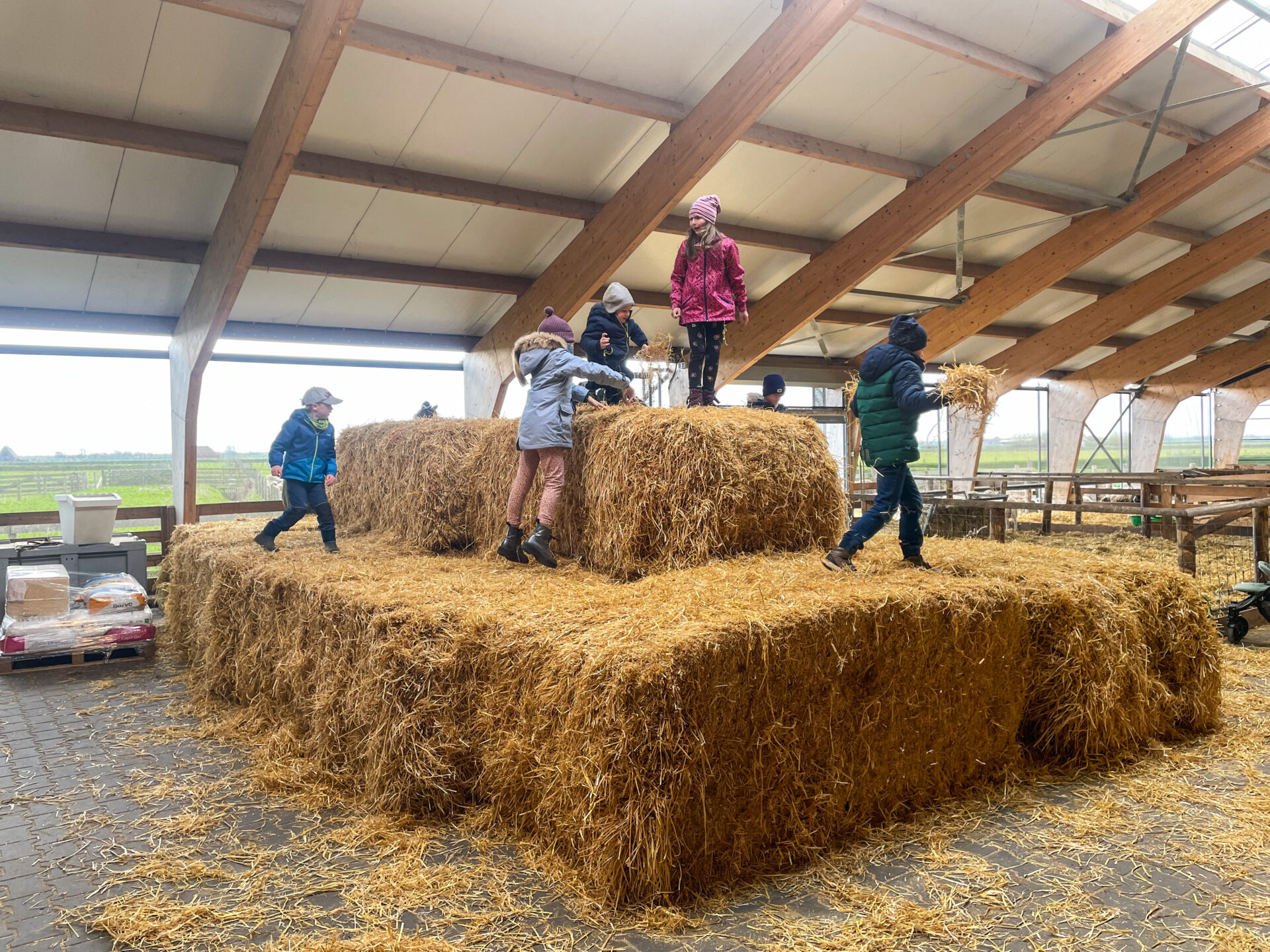 Texel Schapensborderij Spielbereich