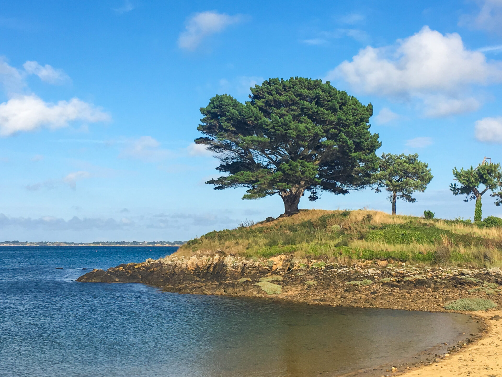 Pleubian Bäume am Meer