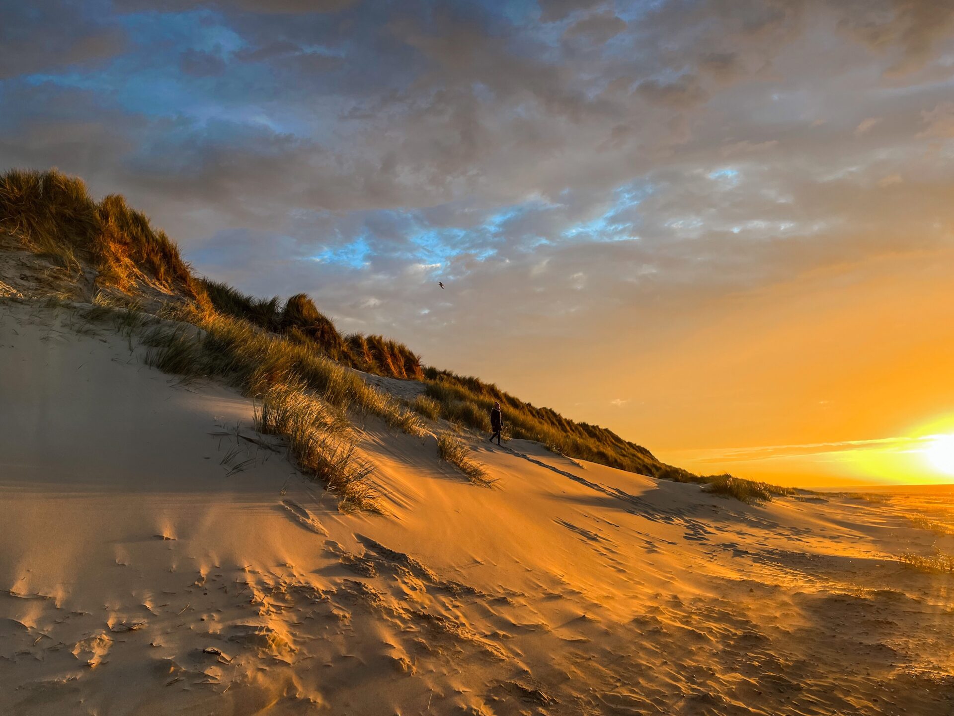 Niederlande - Düne mit Kind