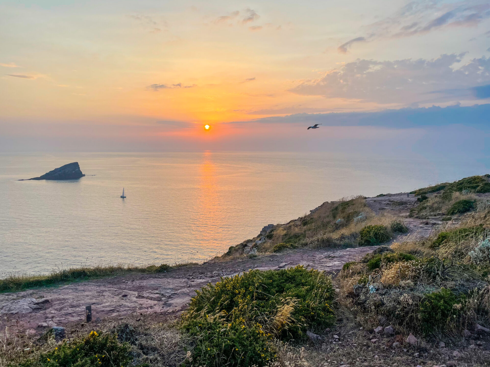 Cap Fréhel Möwe und Segelboot am Meer