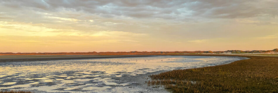 Texel - les eaux de Slufter