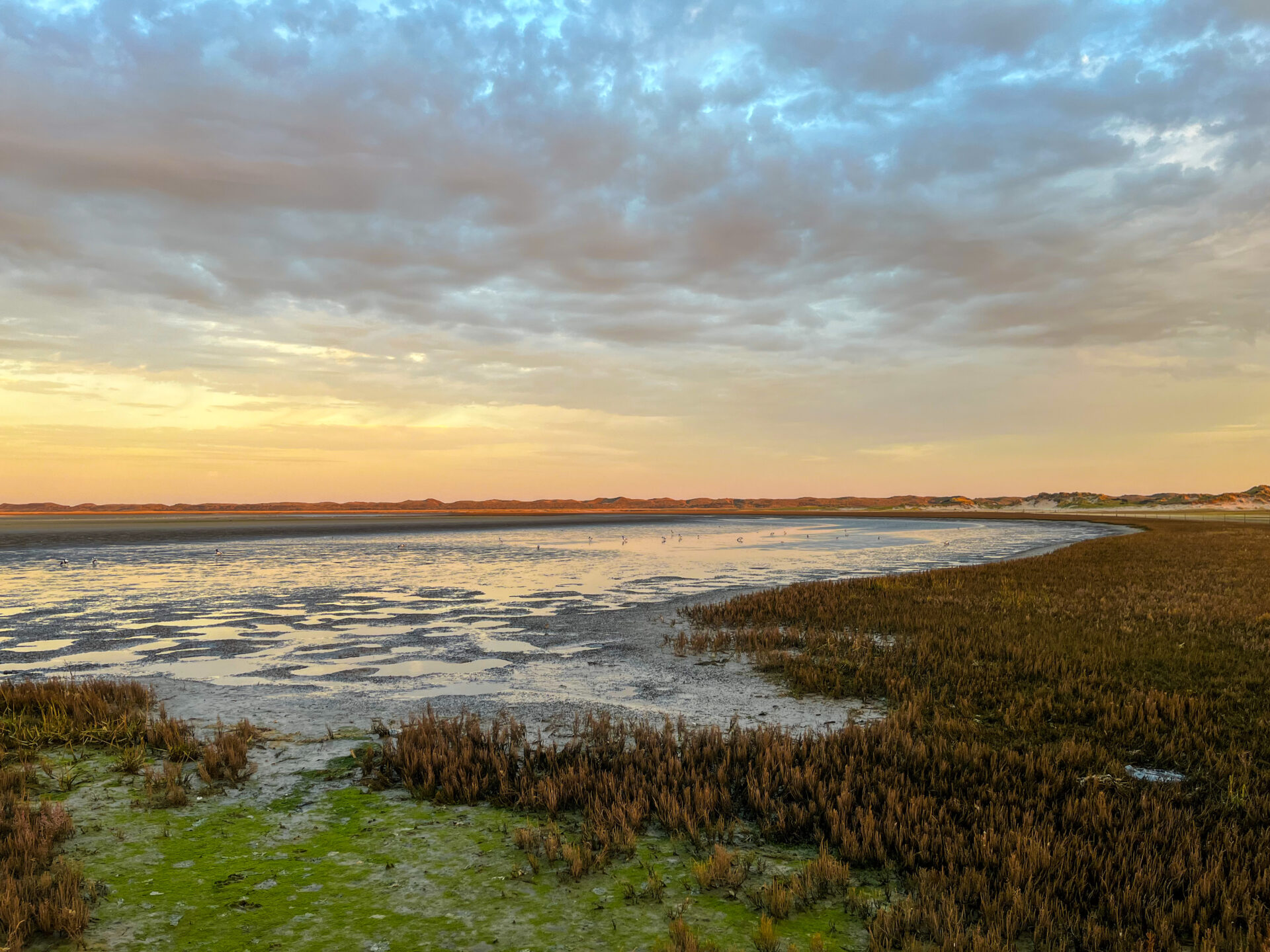 Texel - les eaux de Slufter