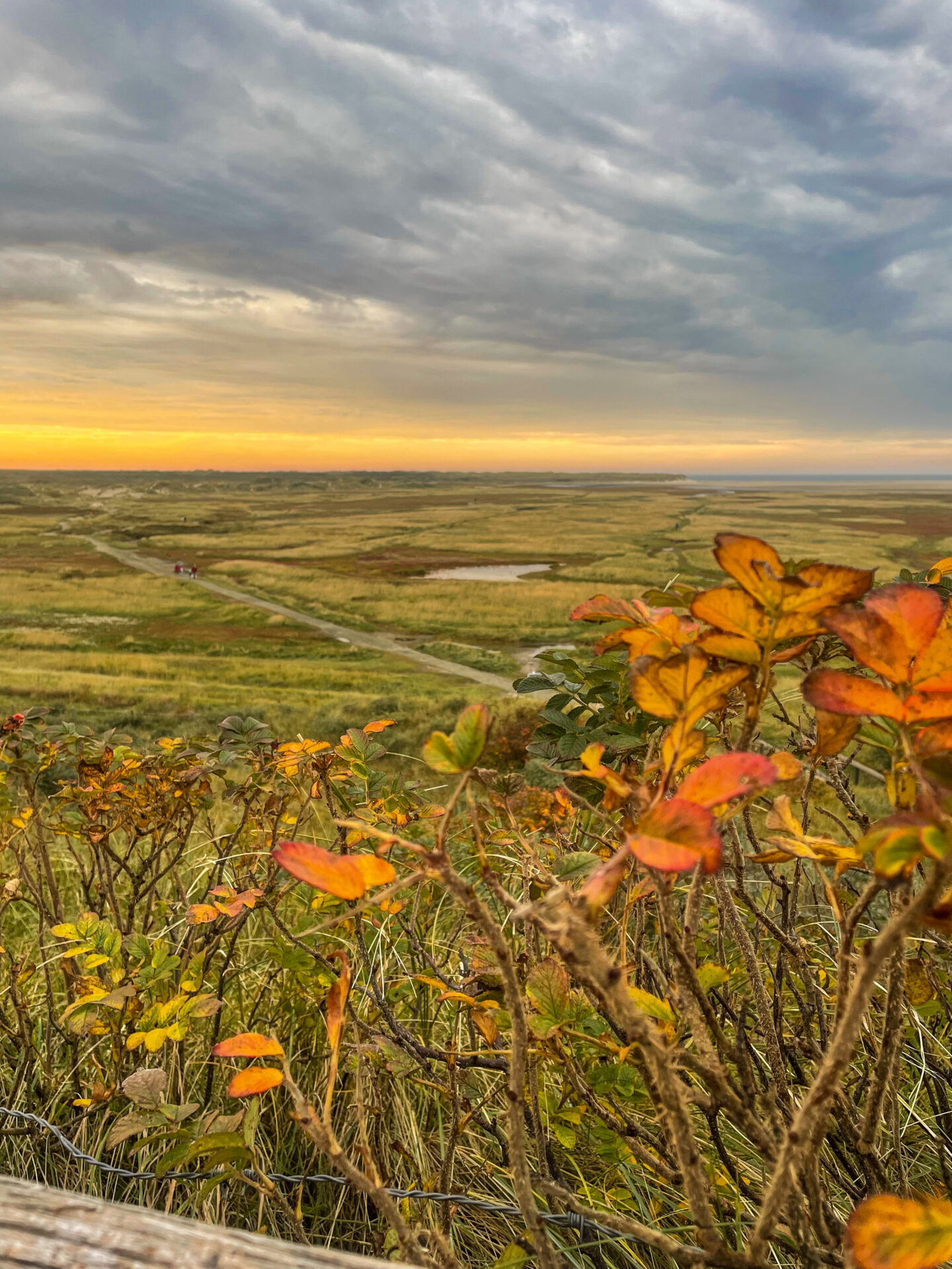 Texel - de Slufter im Herbst