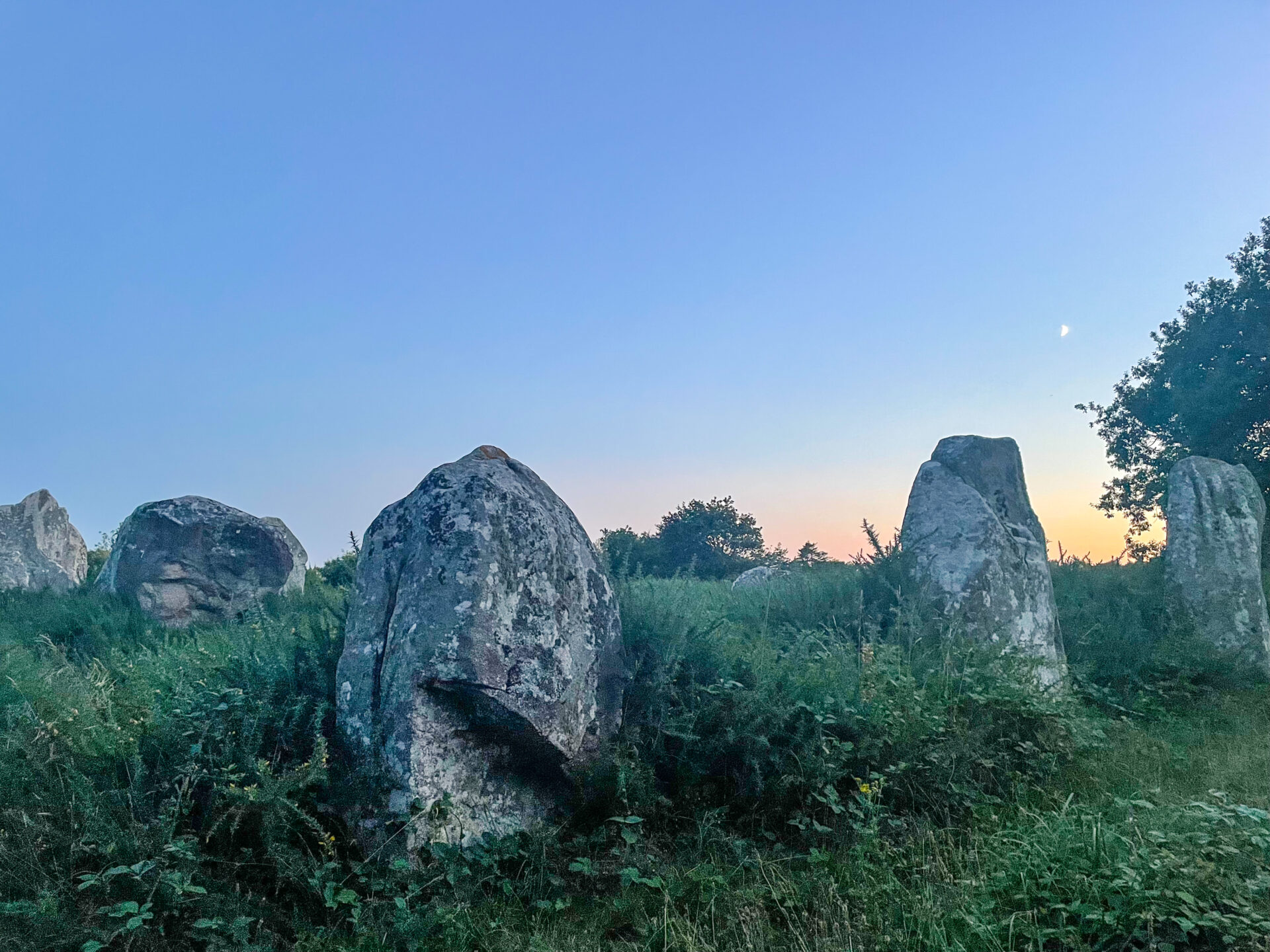 Carnac Megalithen Nahaufnahme