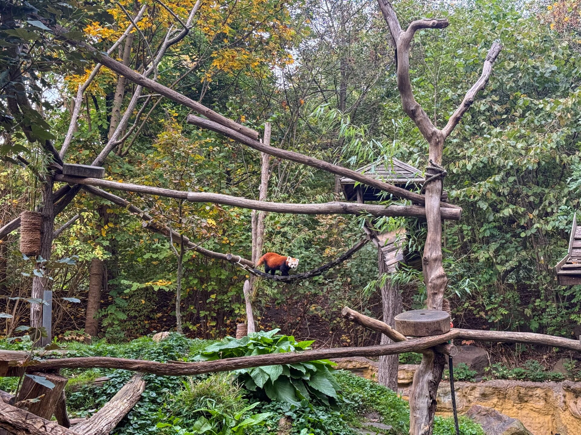 Gelsenkirchen - Zoom Erlebniswelt - Tiergehege