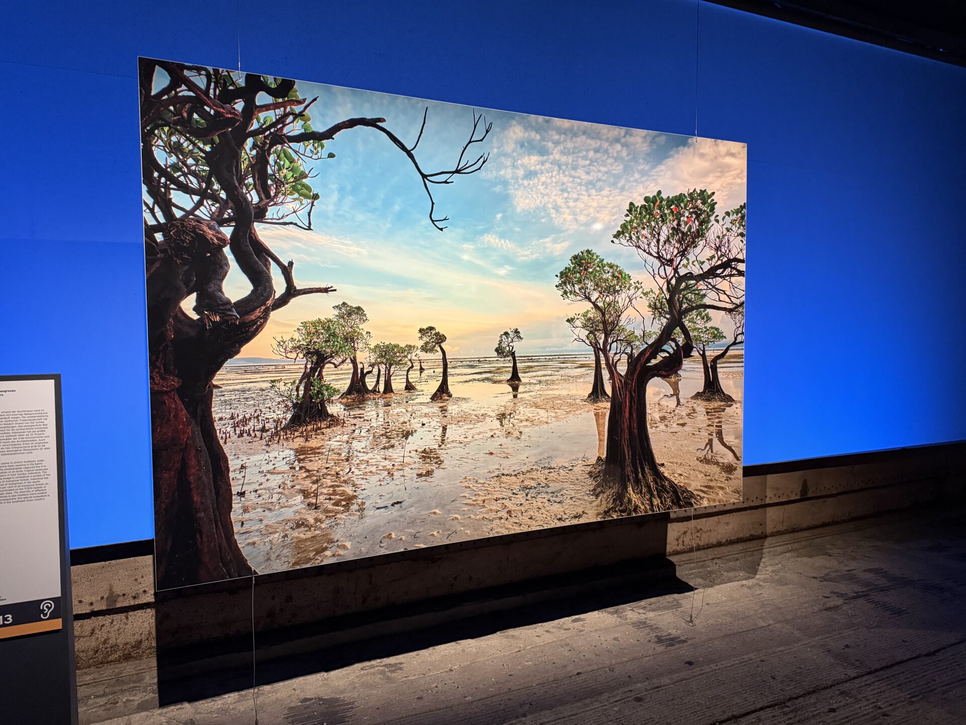 Oberhausen - Gasometer - Planet Ozean Mangrove