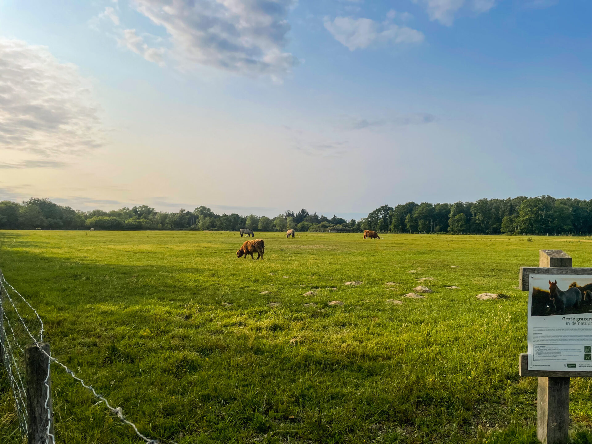 Knokke-Heist - Naturschutzgebiet