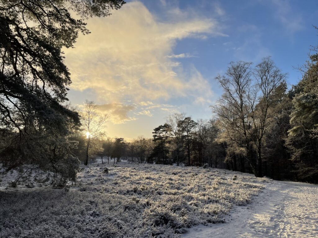 Lüneburger Heide - im Schnee