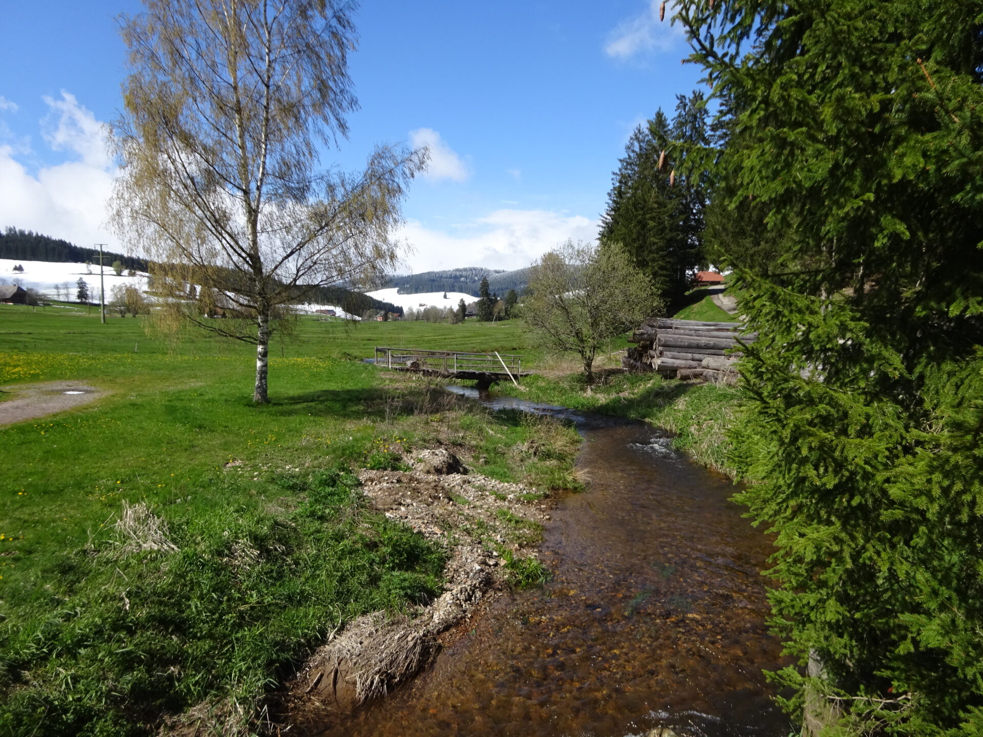 Schwarzwald - Bachlauf