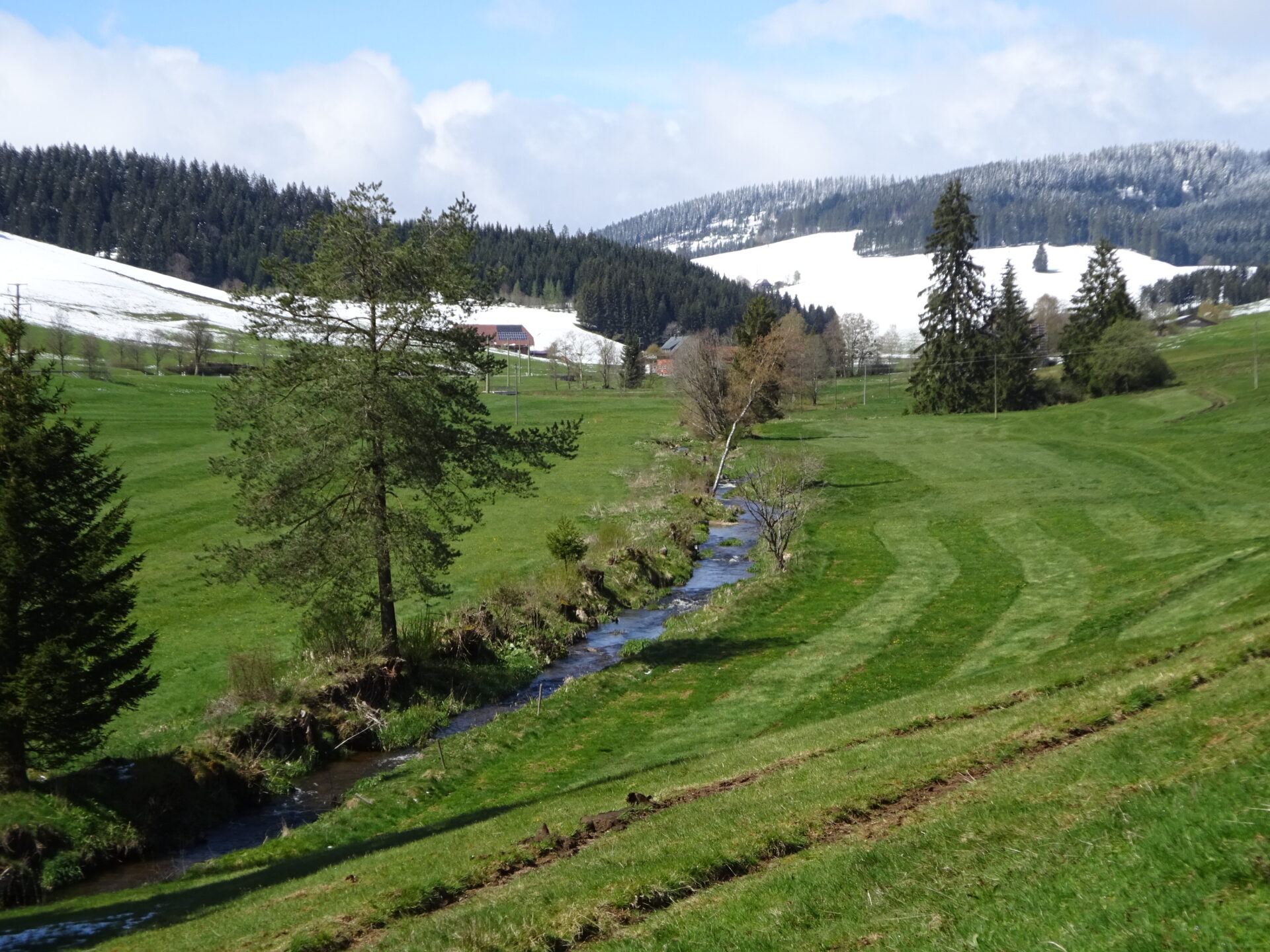 Schwarzwald - Schneeschmelze