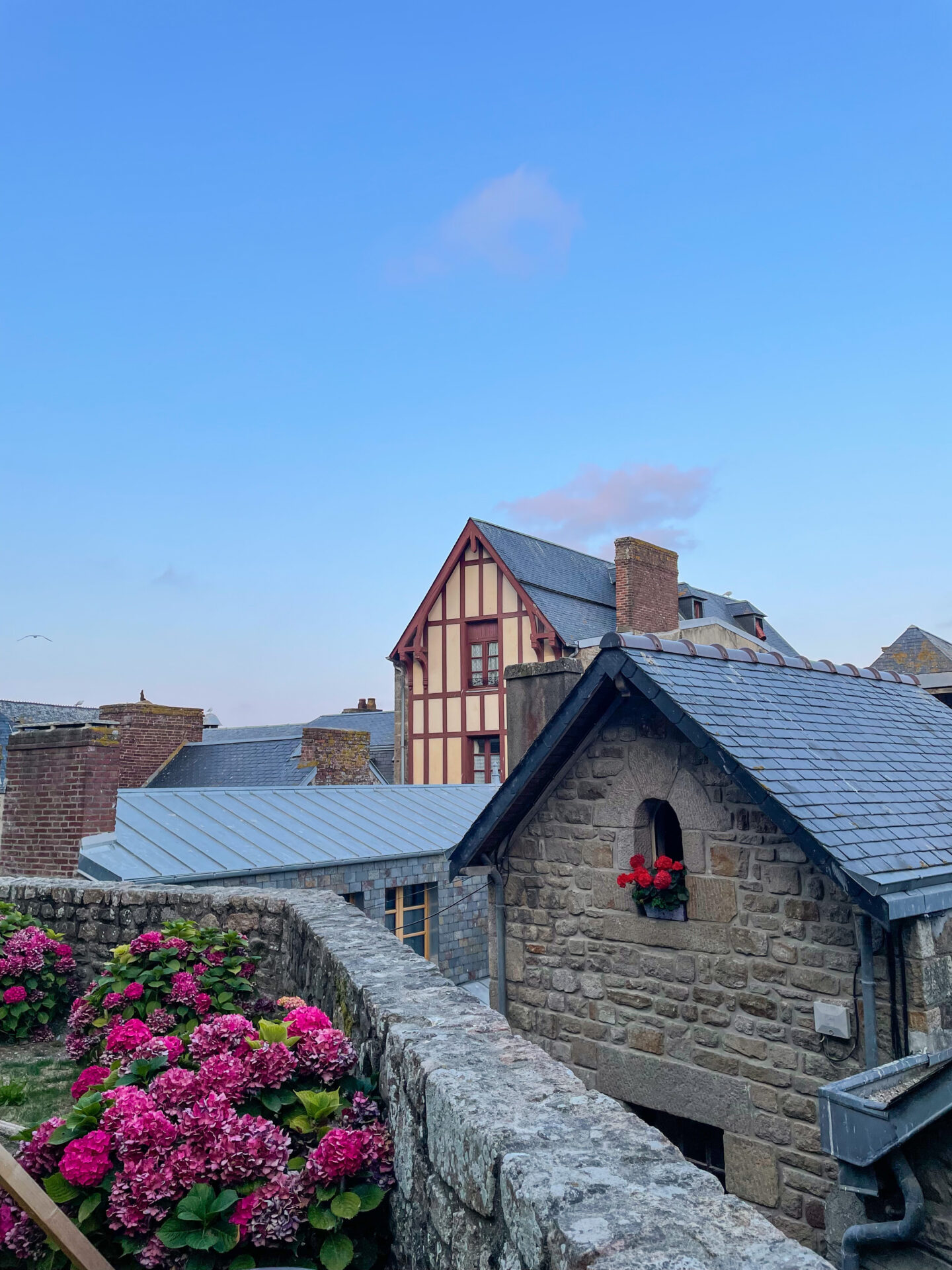 Le Mont Saint Michel - Blumen
