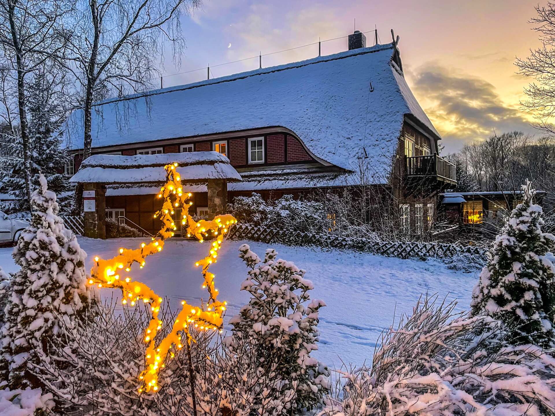 Lüneburger Heide - zauberhafter Wintertreiben