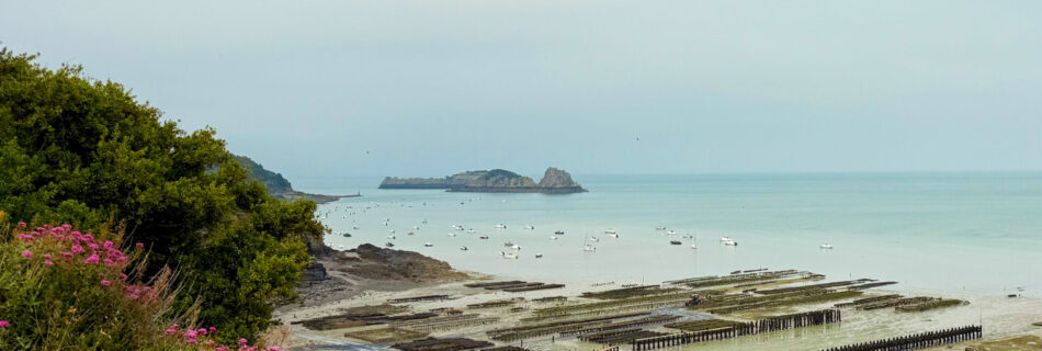 Cancale - Austernbänke Blumen bunt