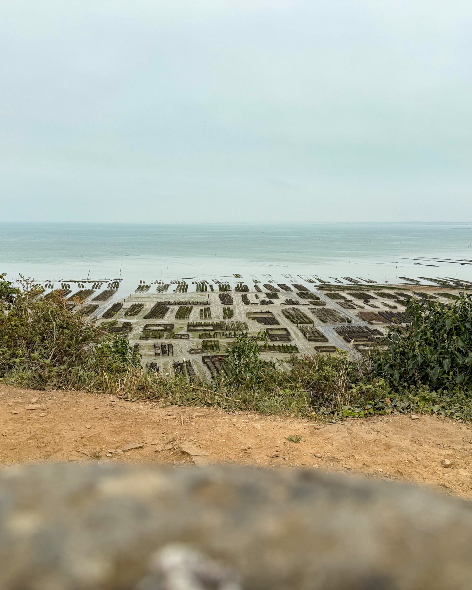 Cancale - Austernbänke