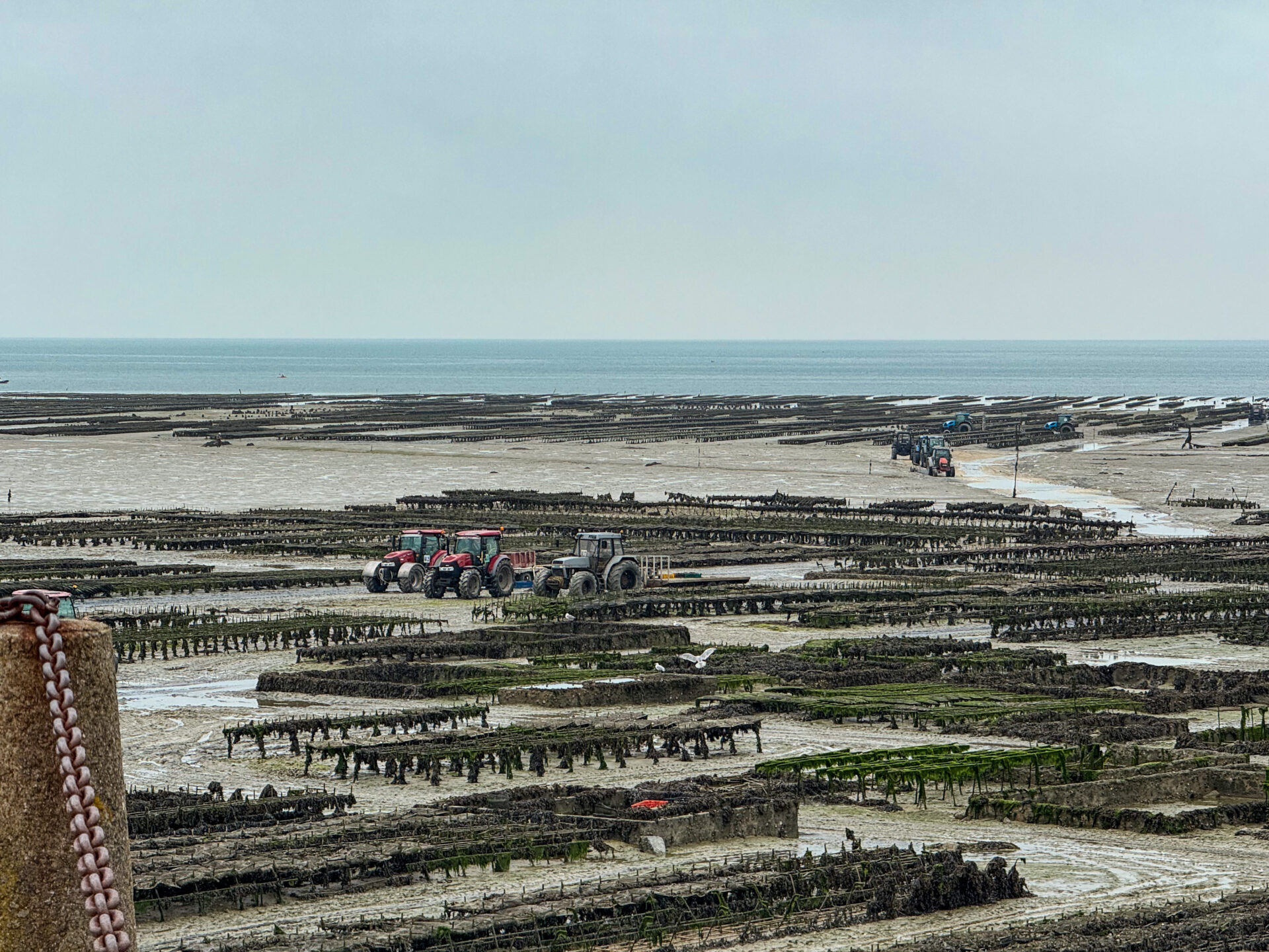 Cancale - Austernfarm