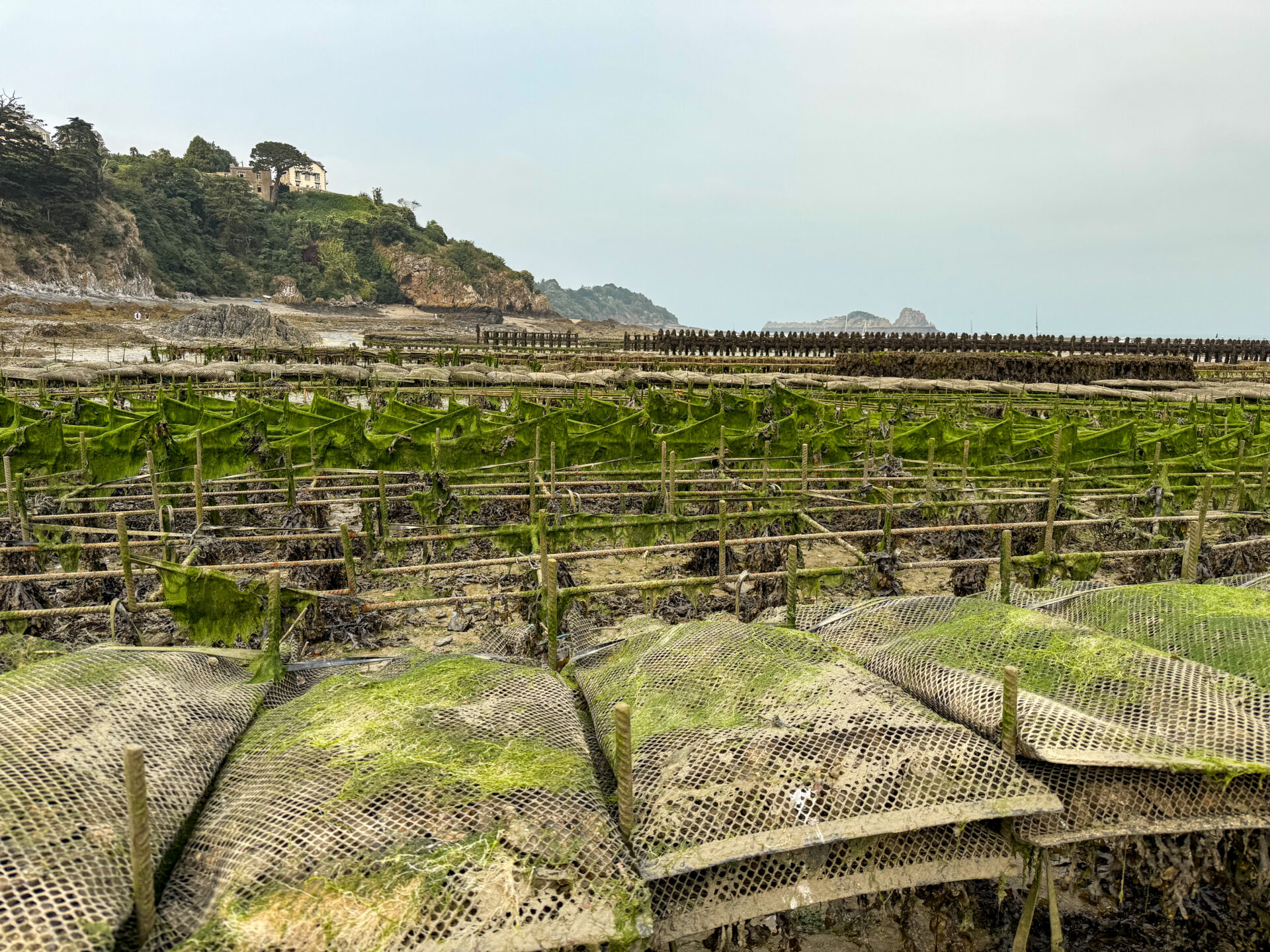 Cancale - Austernnetze