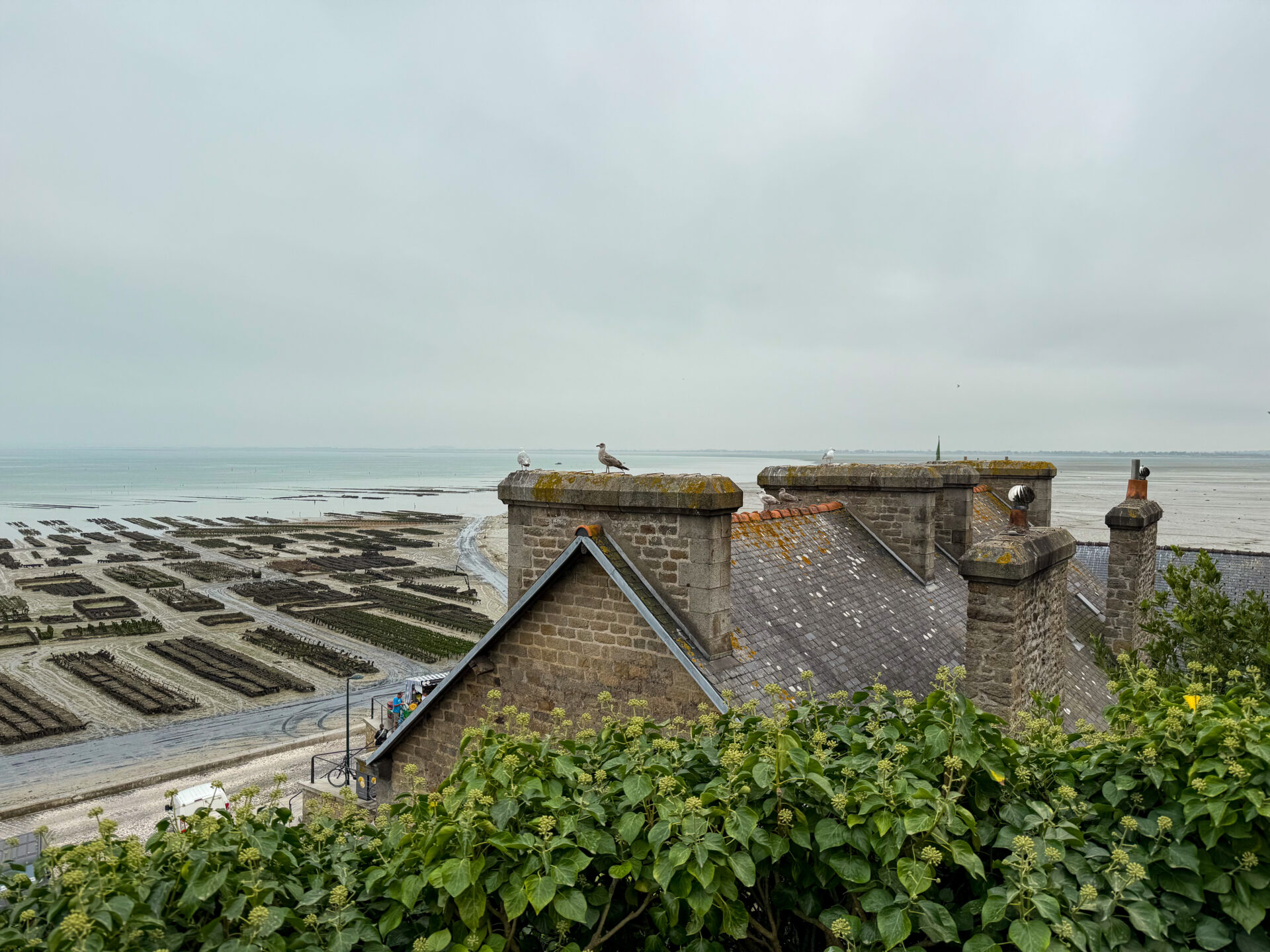 Cancale - Möwen und Stadt von oben