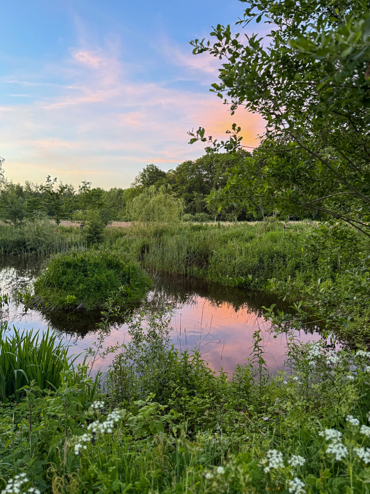 Oisterwijk Moore